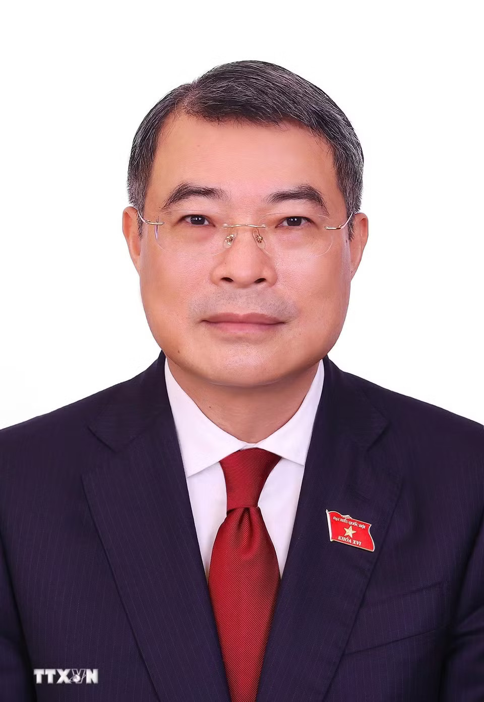 Thủ tướng Chính phủ Lê Minh Hưng. (Ảnh: TTXVN)