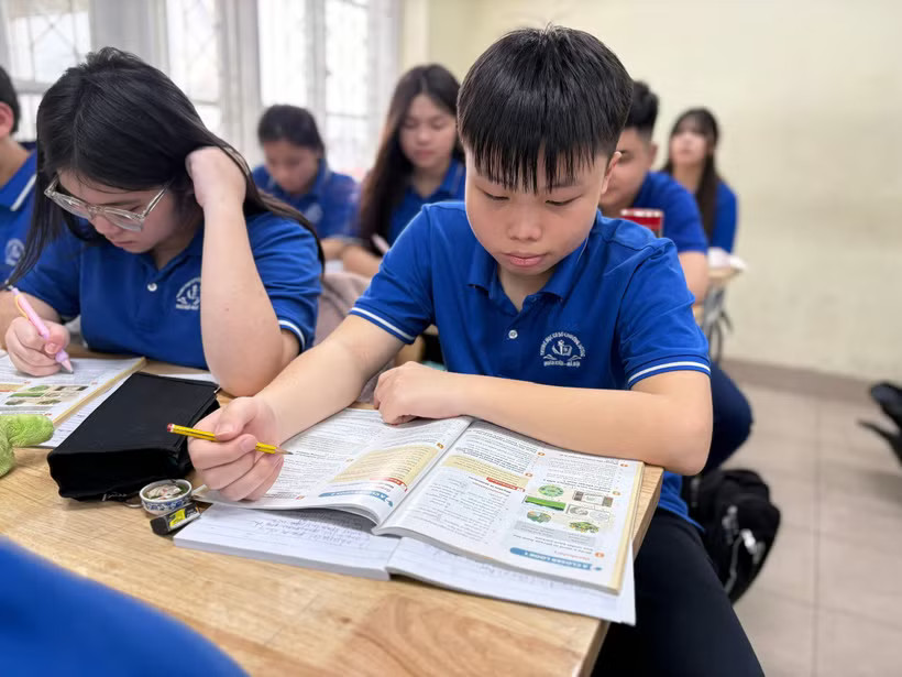 (Ảnh minh họa: PV/Vietnam+)