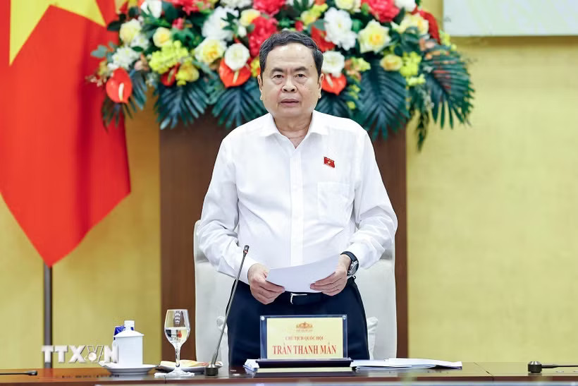 Chủ tịch Quốc hội Trần Thanh Mẫn, Trưởng Ban Chỉ đạo phát biểu. (Ảnh: Doãn Tấn/TTXVN)