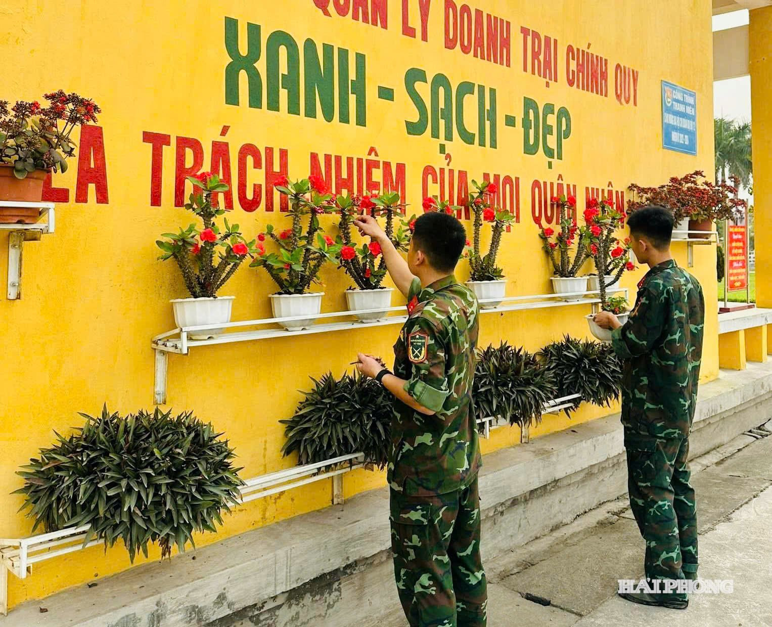 xanh-sach.jpg