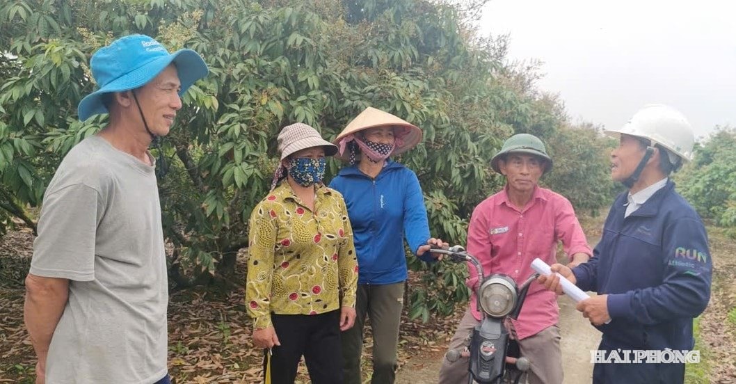 vai-thieu-2-.jpg