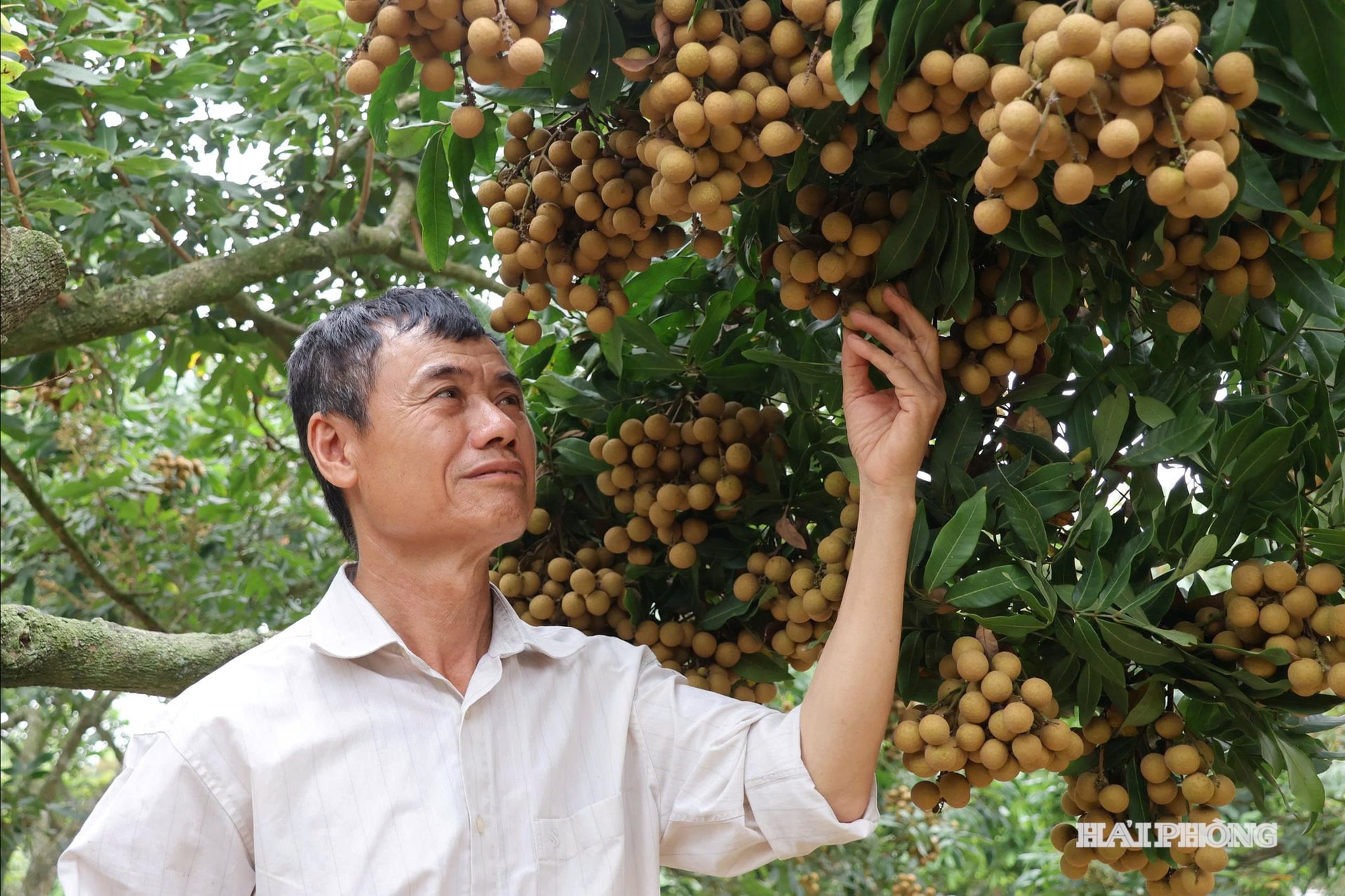 nhan-trai-vu (2)