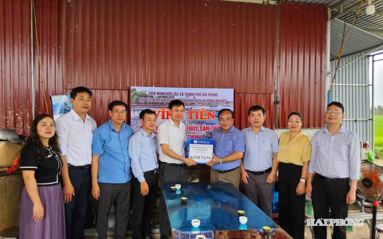 Đoàn Công tác của Liên minh Hợp tác xã thành phố thăm, tặng quà HTX sản xuất kinh doanh dịch vụ nông nghiệp Vĩnh Tiên (xã Vĩnh Thịnh)