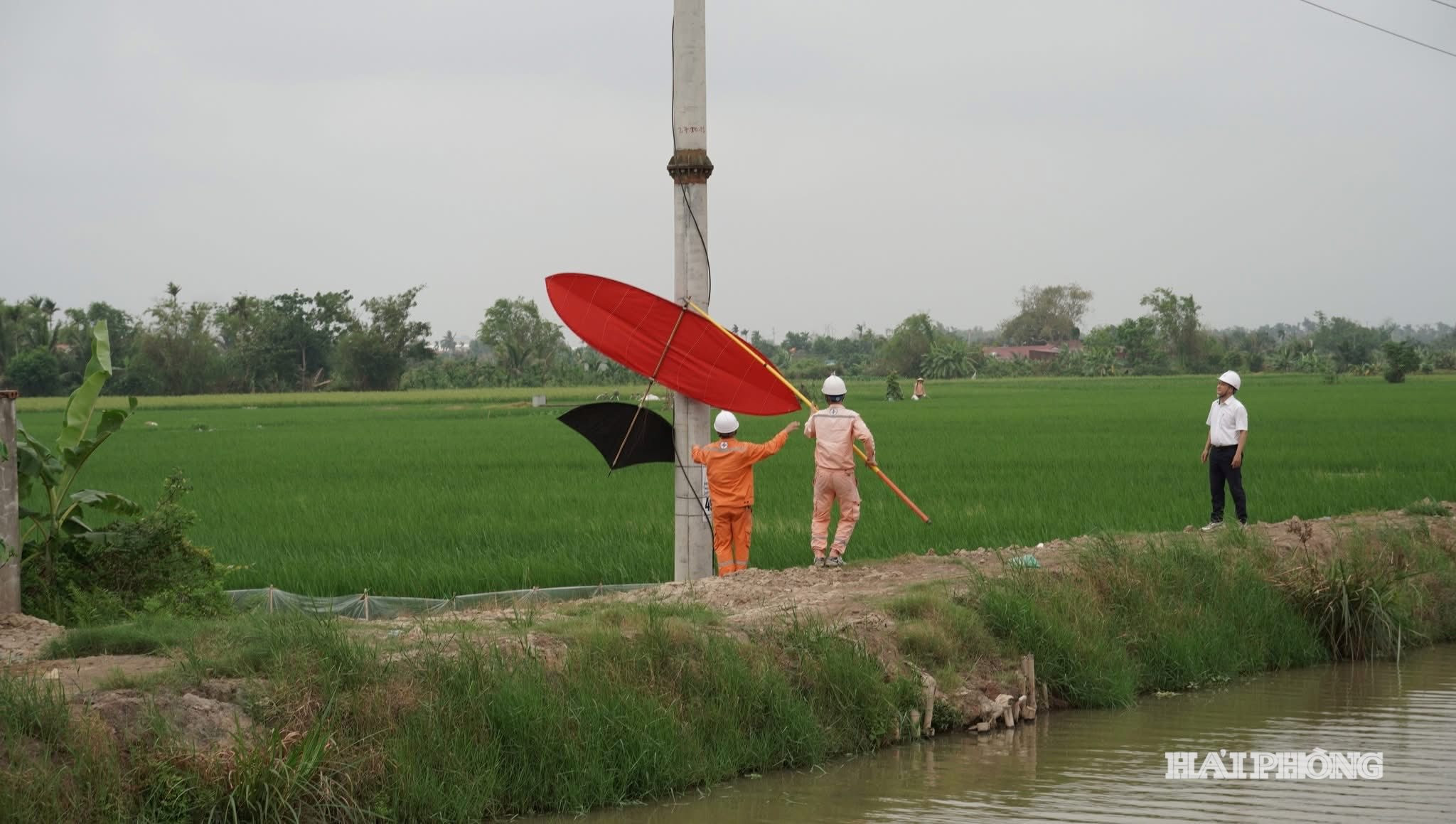 canh-dieu-1.jpg
