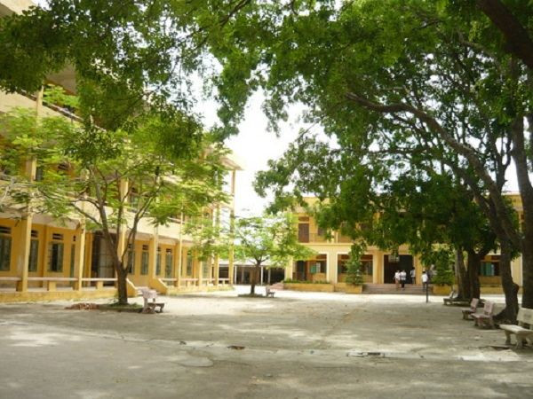 san-truong-2.jpg