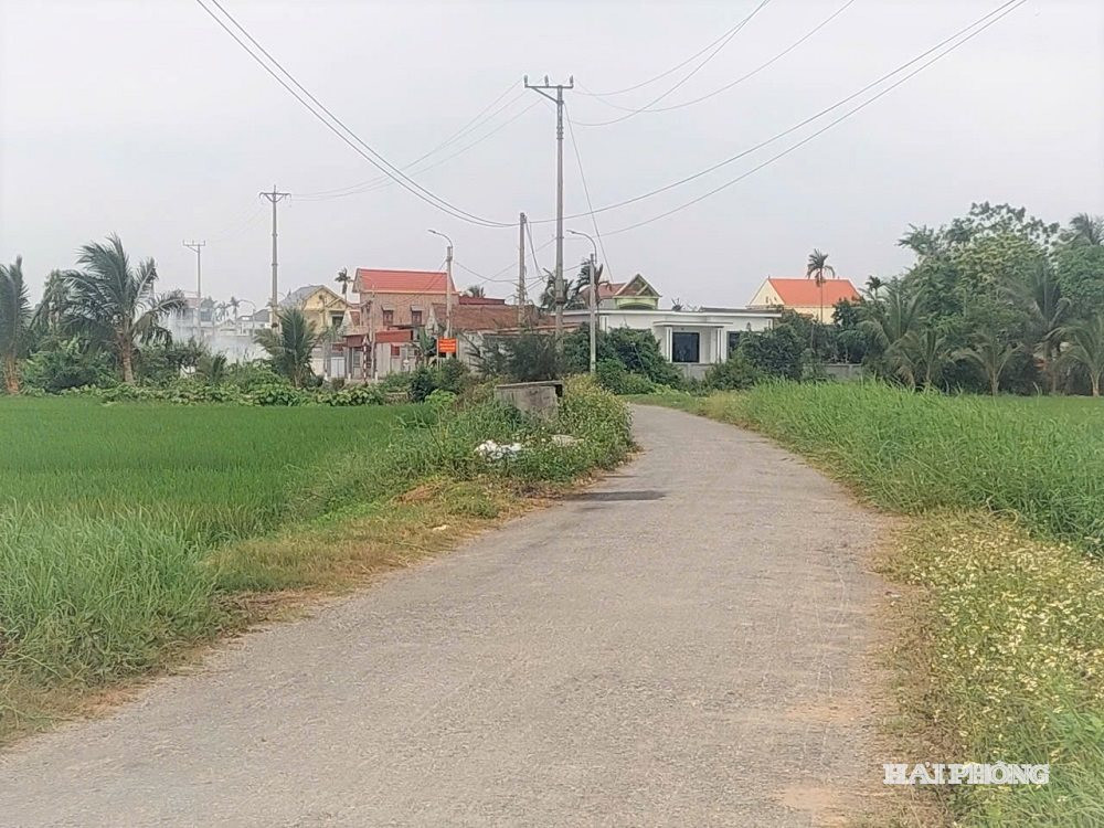tuyen-duong 3