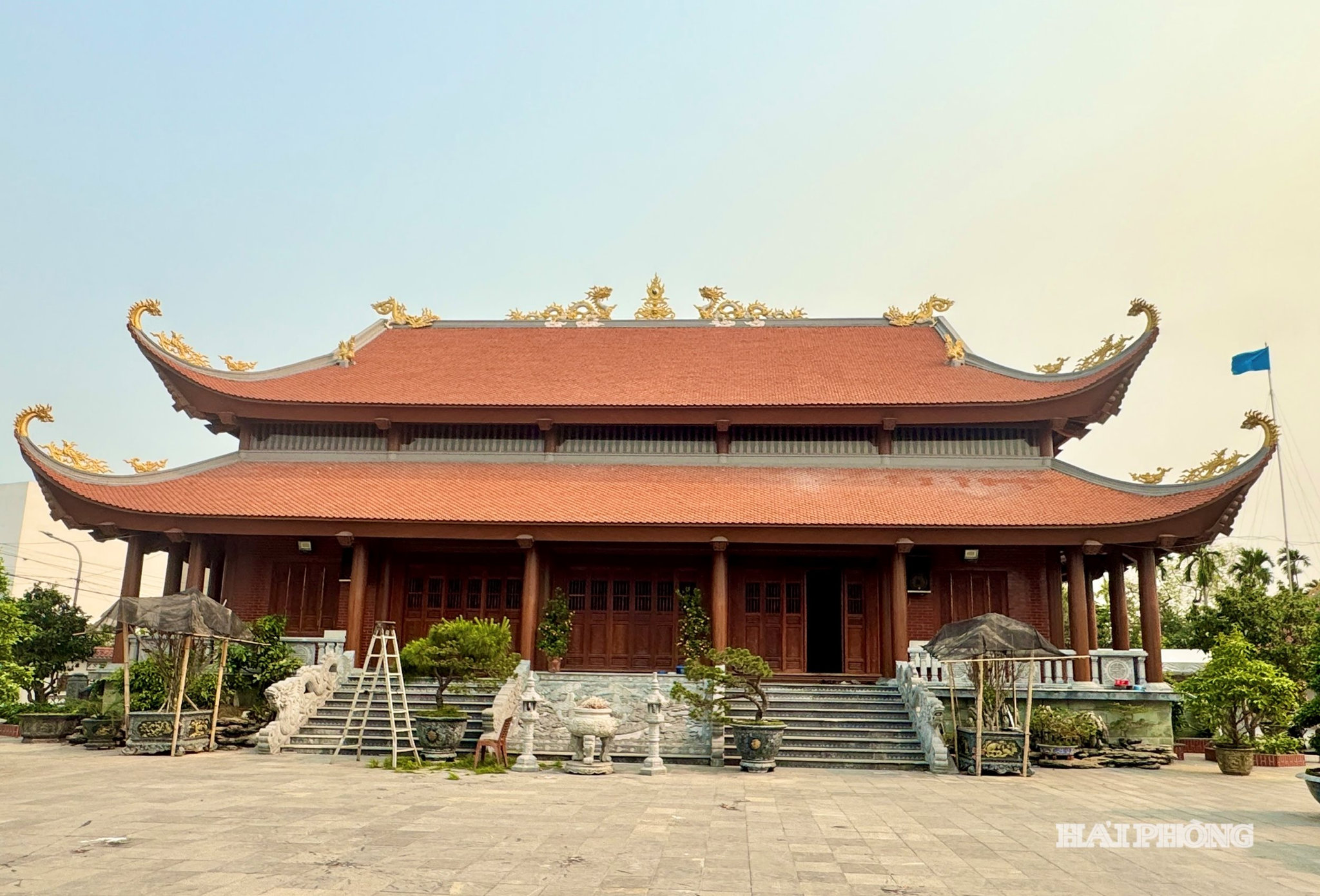 dinh-tri-yeu(1).jpg