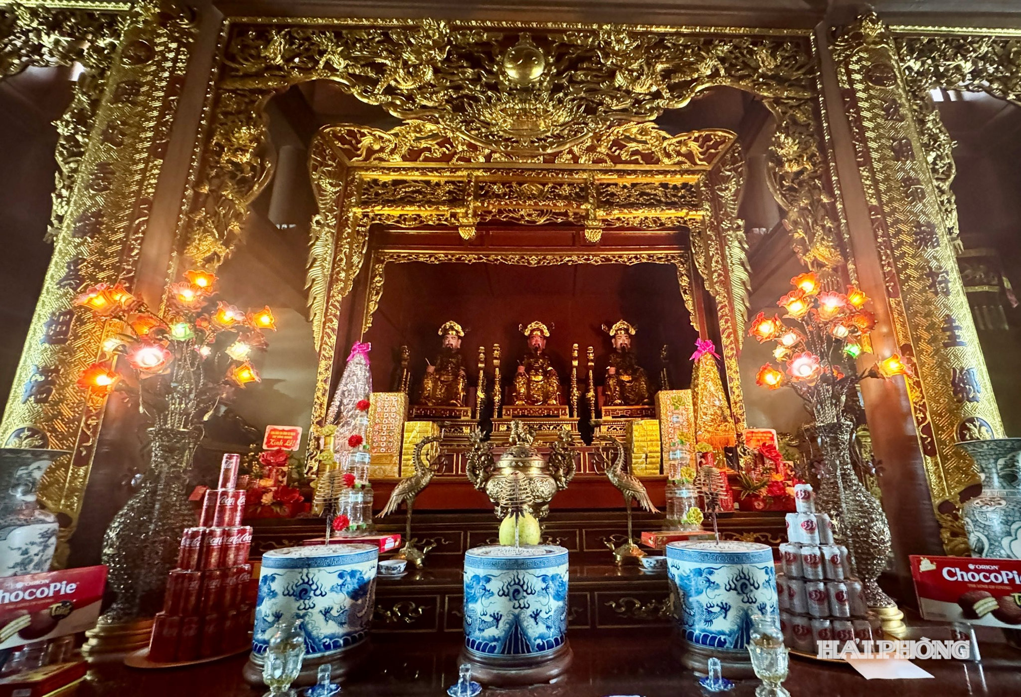 dinh-tri-yeu-3.jpg