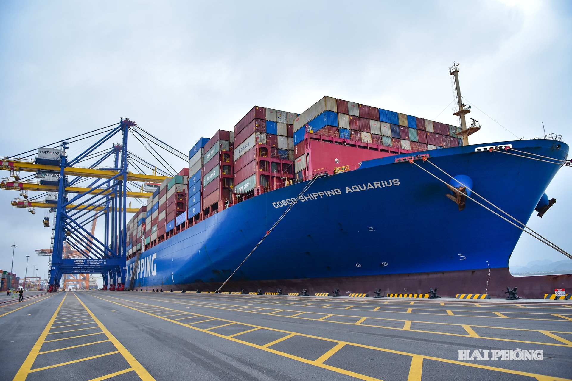 Siêu tàu Cosco Shipping Aquarius - 197.000 DWT - 400 m LOA cập Cảng container quốc tế Hateco Hải Phòng.
