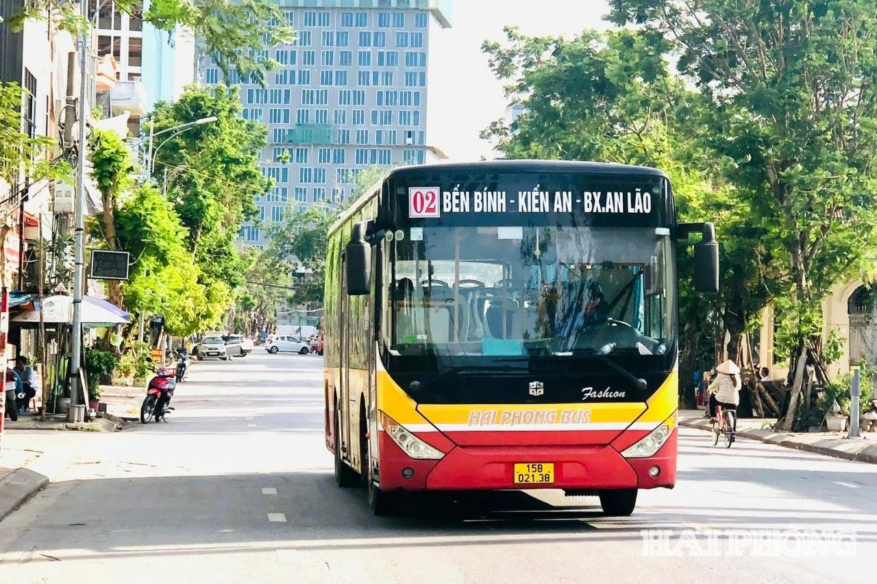 cat-bi-2(1).jpg