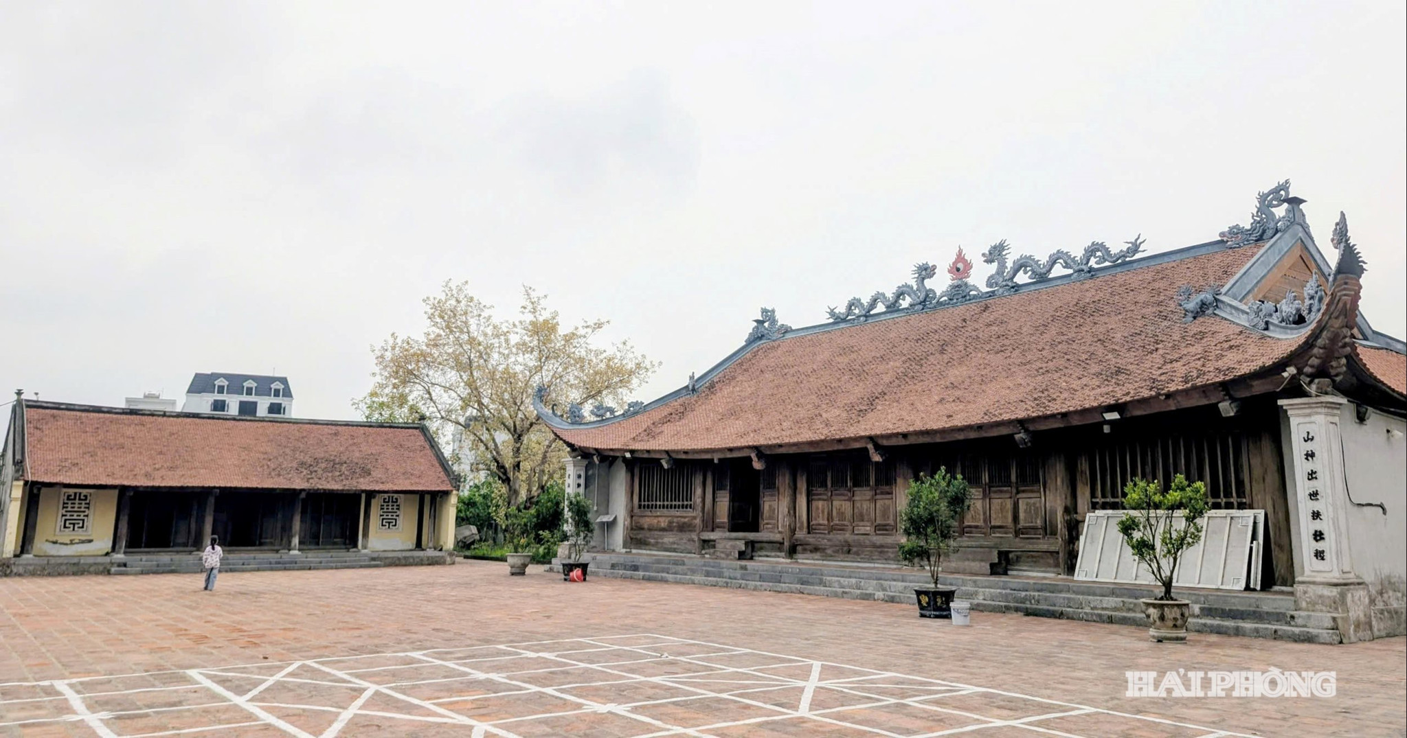 dinh-ta-quan-02.jpg