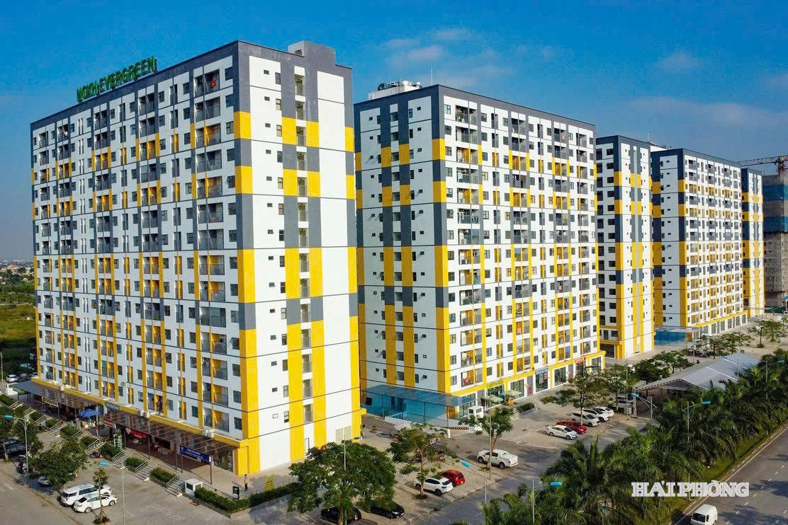du-an-noxh-evergreen-trang-due.jpg