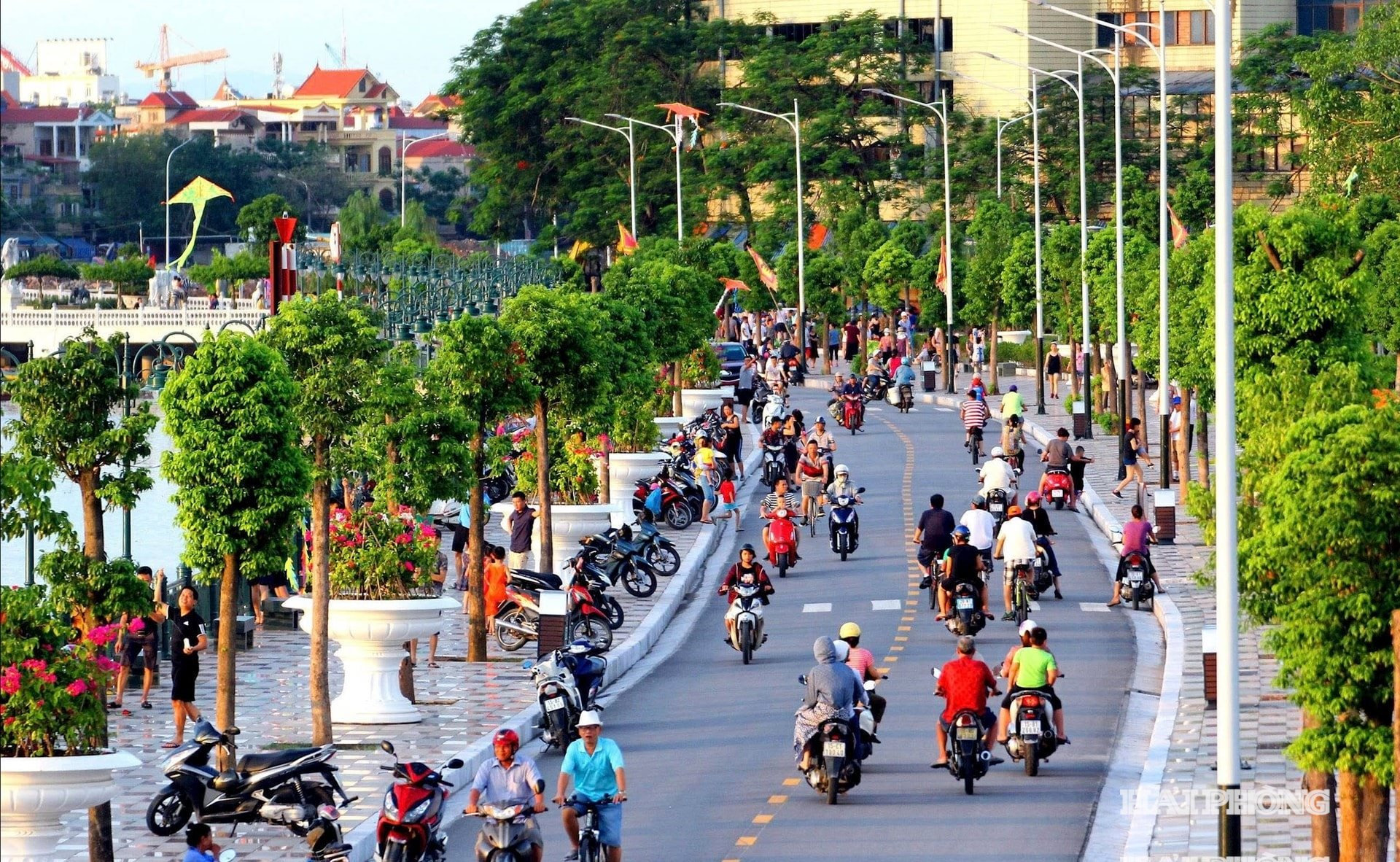 cong-vien-tam-ky(1).jpg