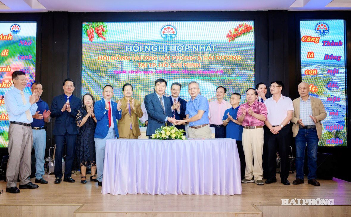 hoi-dong-huong.jpg