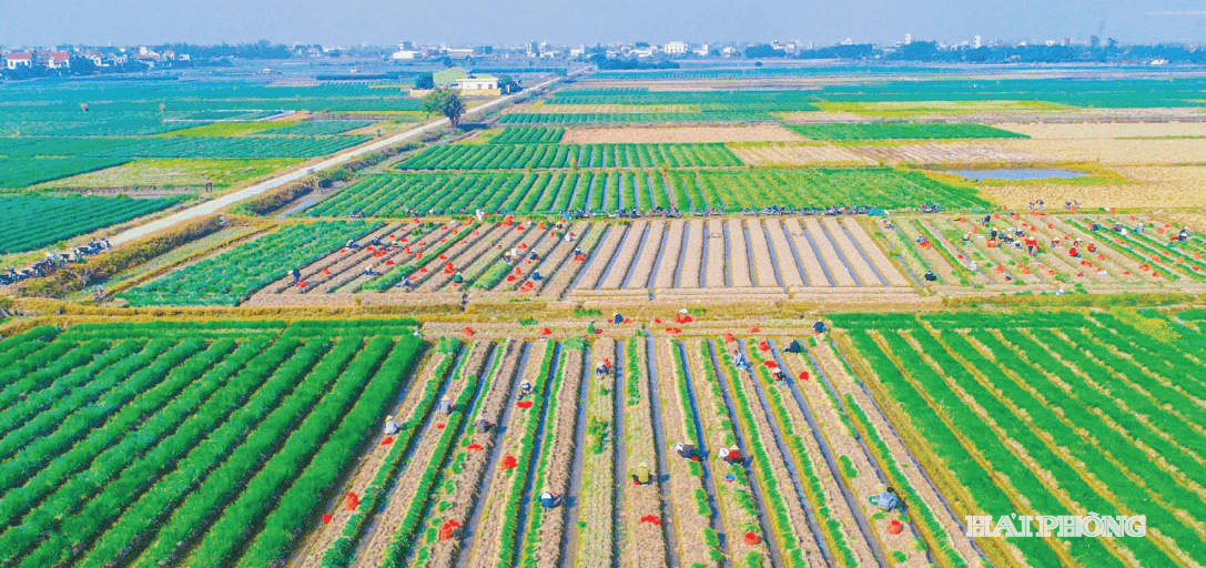 nong-nghiep-tuan-hoan.png