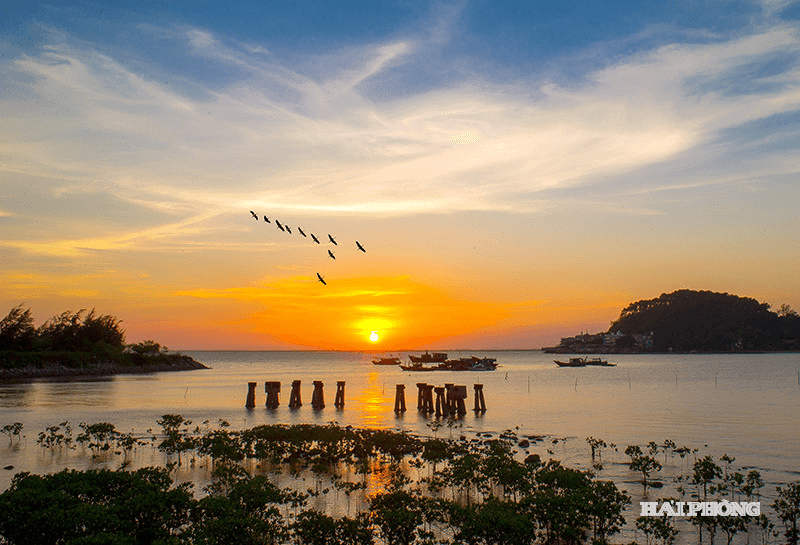 huyen-thoai-ve-nhung-con-tau-khong-so-3.png