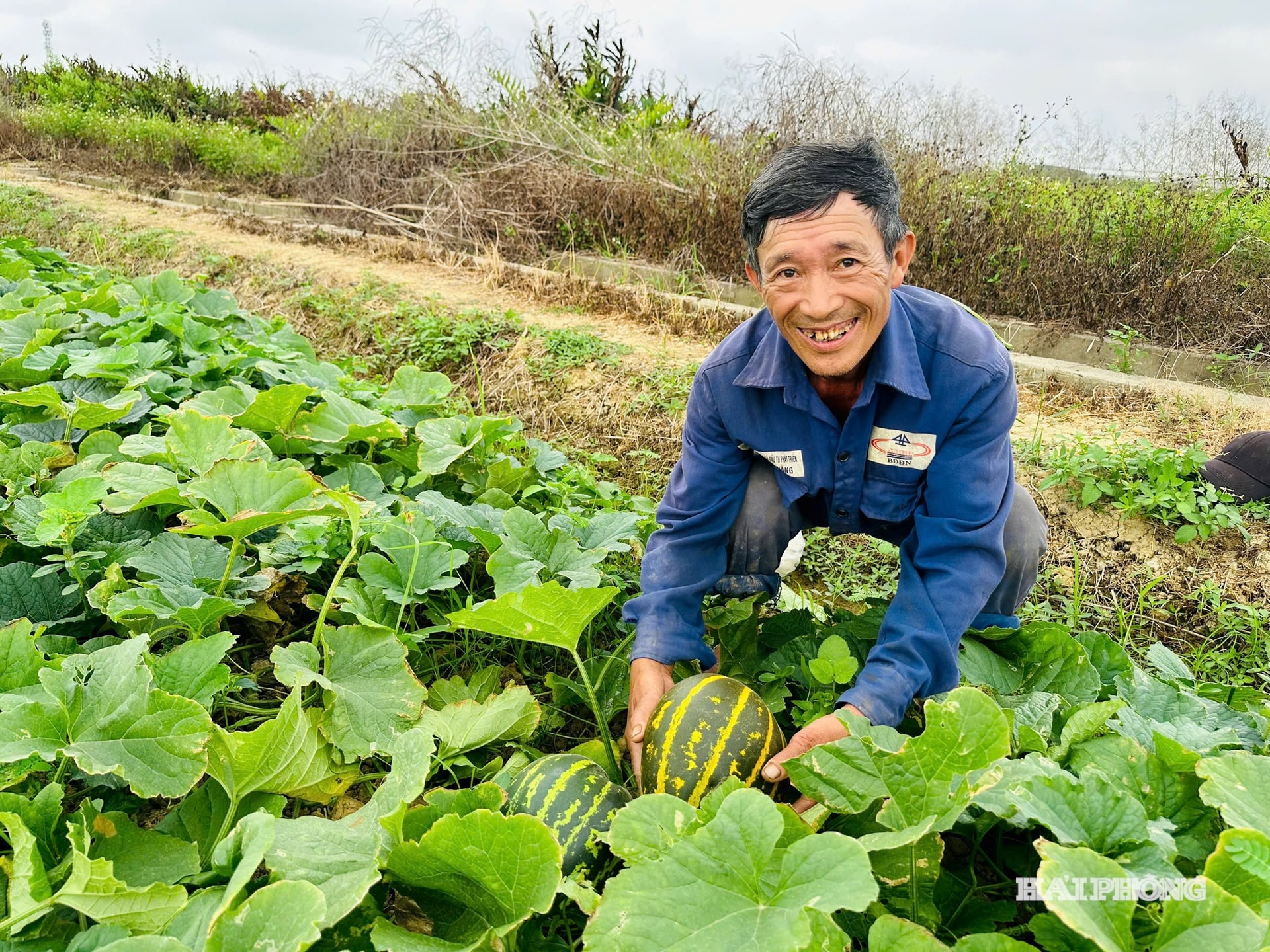 hung dao 3