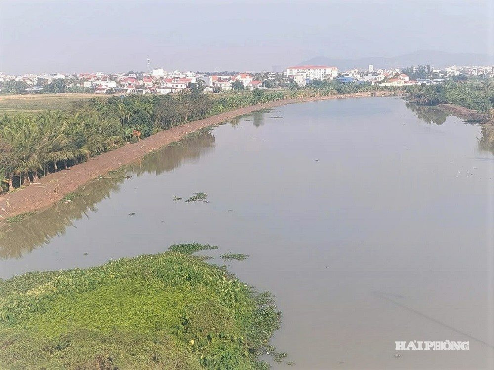 kenh-hong ngoc