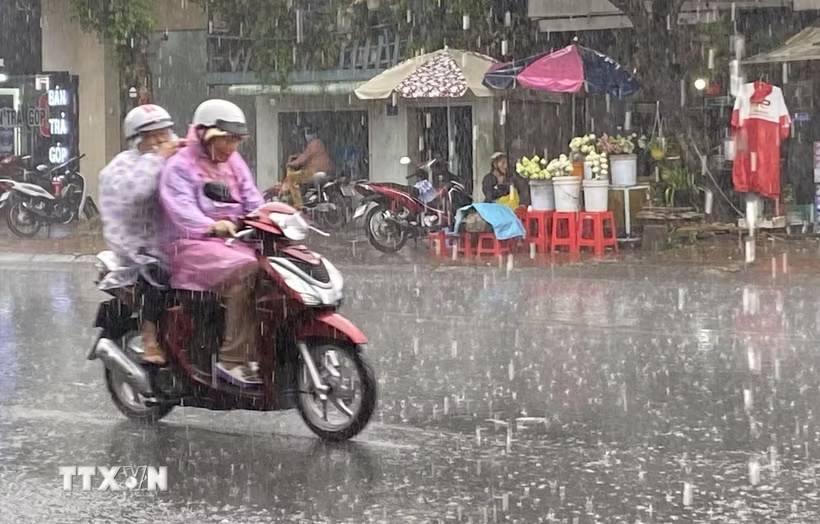 Ảnh minh họa. (Ảnh: Công Mạo/TTXVN)