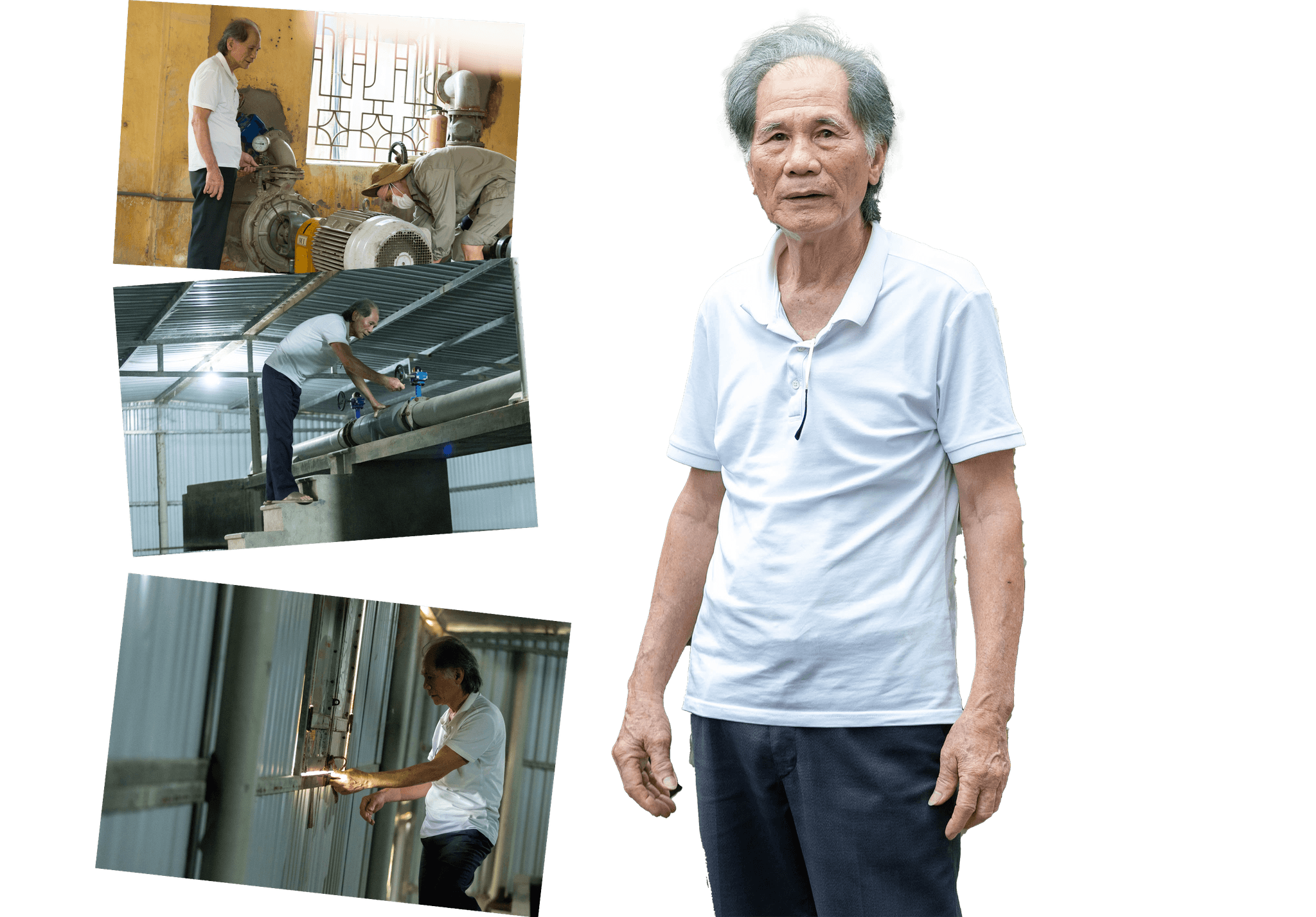ngoc-quy.png