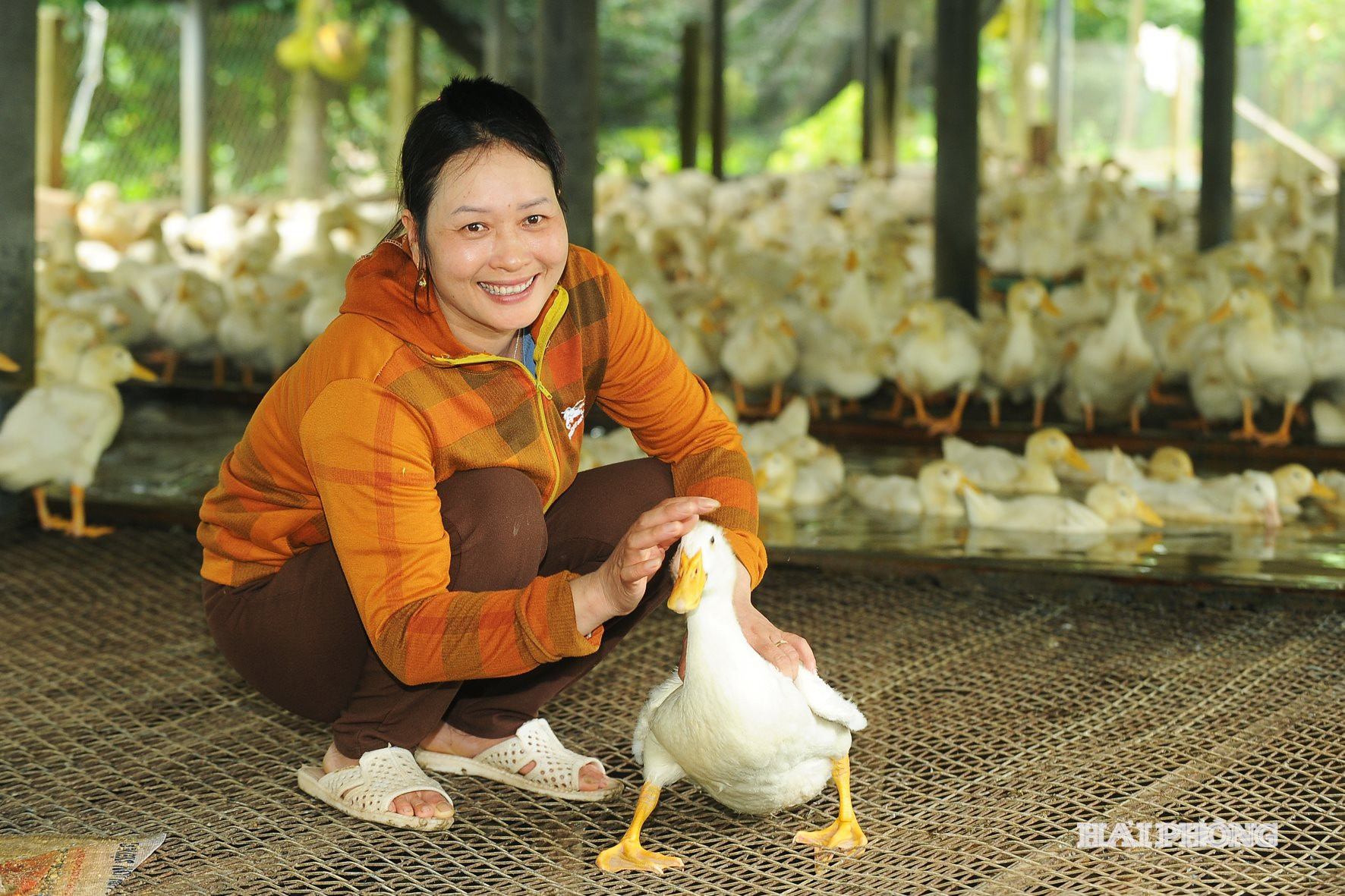 von-chinh-sach-viec-lam-2.jpg