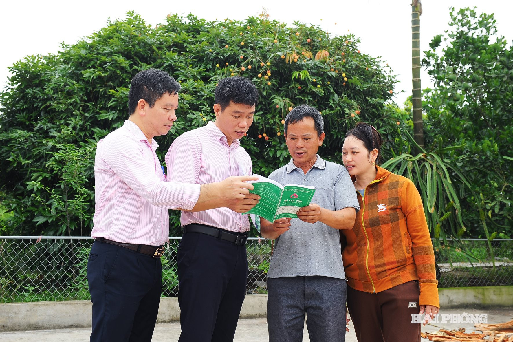 von-chinh-sach-viec-lam.jpg