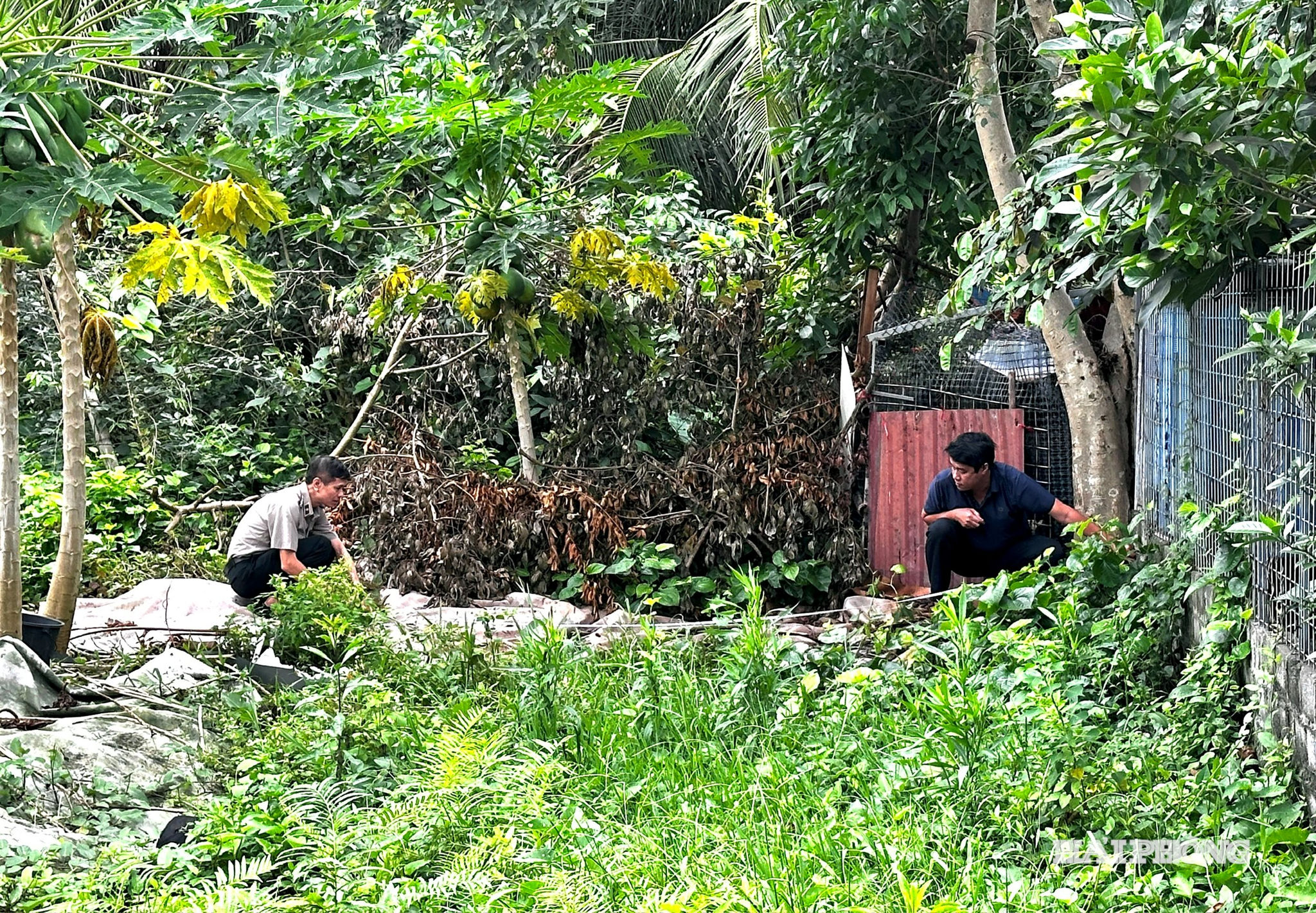 thi-hanh-an-phu-lien-1.jpg