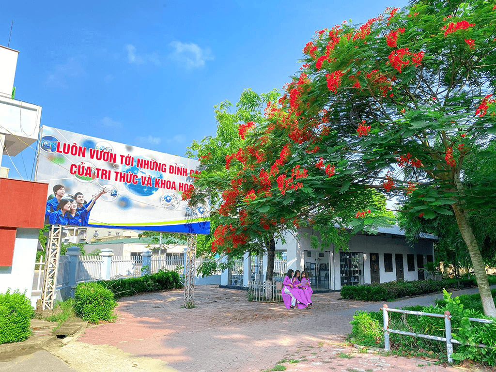 hoa-phuong-2.png