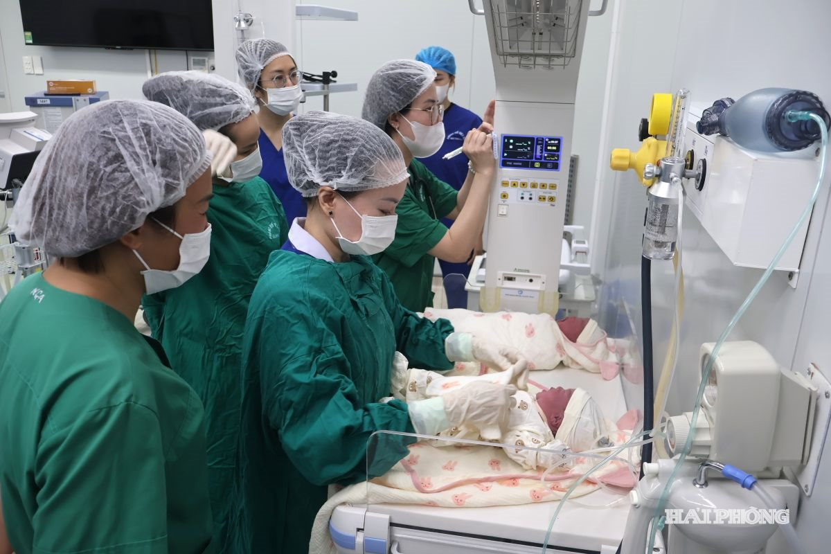 Một trong những mục tiêu của Chương trình bảo đảm mức sinh thay thế đến năm 2030 tại thành phố Hải Phòng là tăng trung bình hằng năm từ 0,5% - 1,0% tổng tỷ suất sinh.