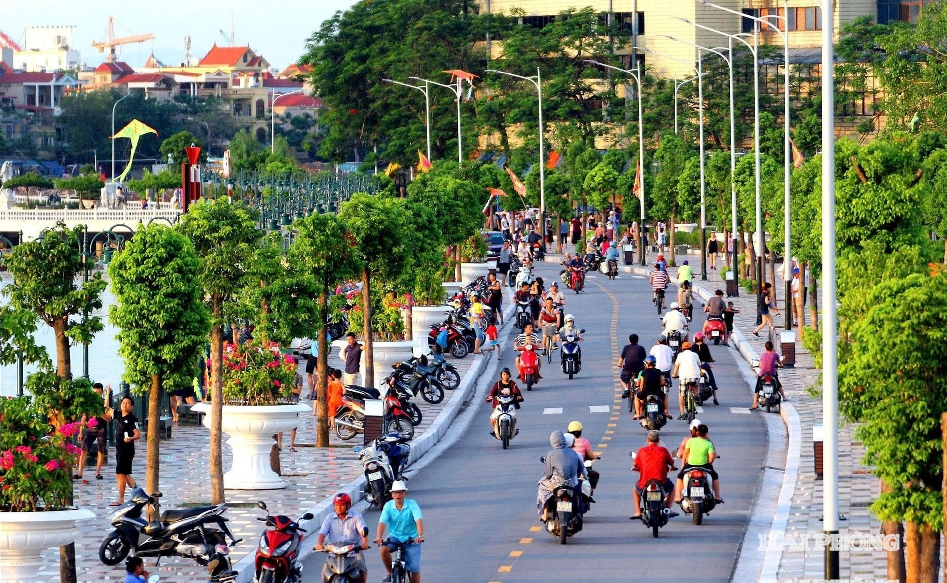 cong-vien-tam-ky-1-.jpg
