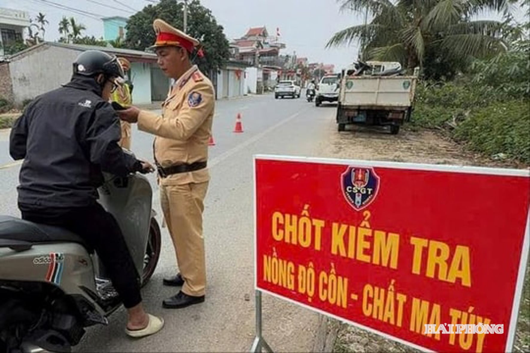 nong do con