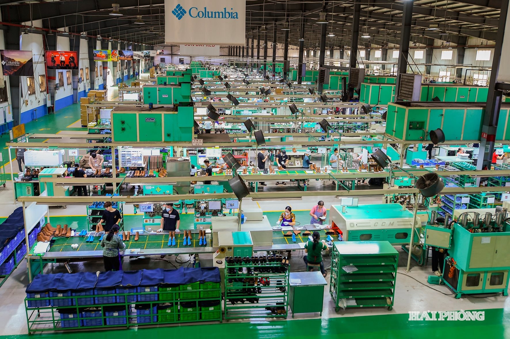 Công ty đặt tại Cụm công nghiệp Quỳnh Phúc, xã Phú Thái (Hải Phòng), 100% vốn đầu tư Đài Loan (Trung Quốc). Công ty hiện tạo việc làm cho gần 12.000 lao động với thu nhập bình quân khoảng 11 triệu đồng/người/tháng.