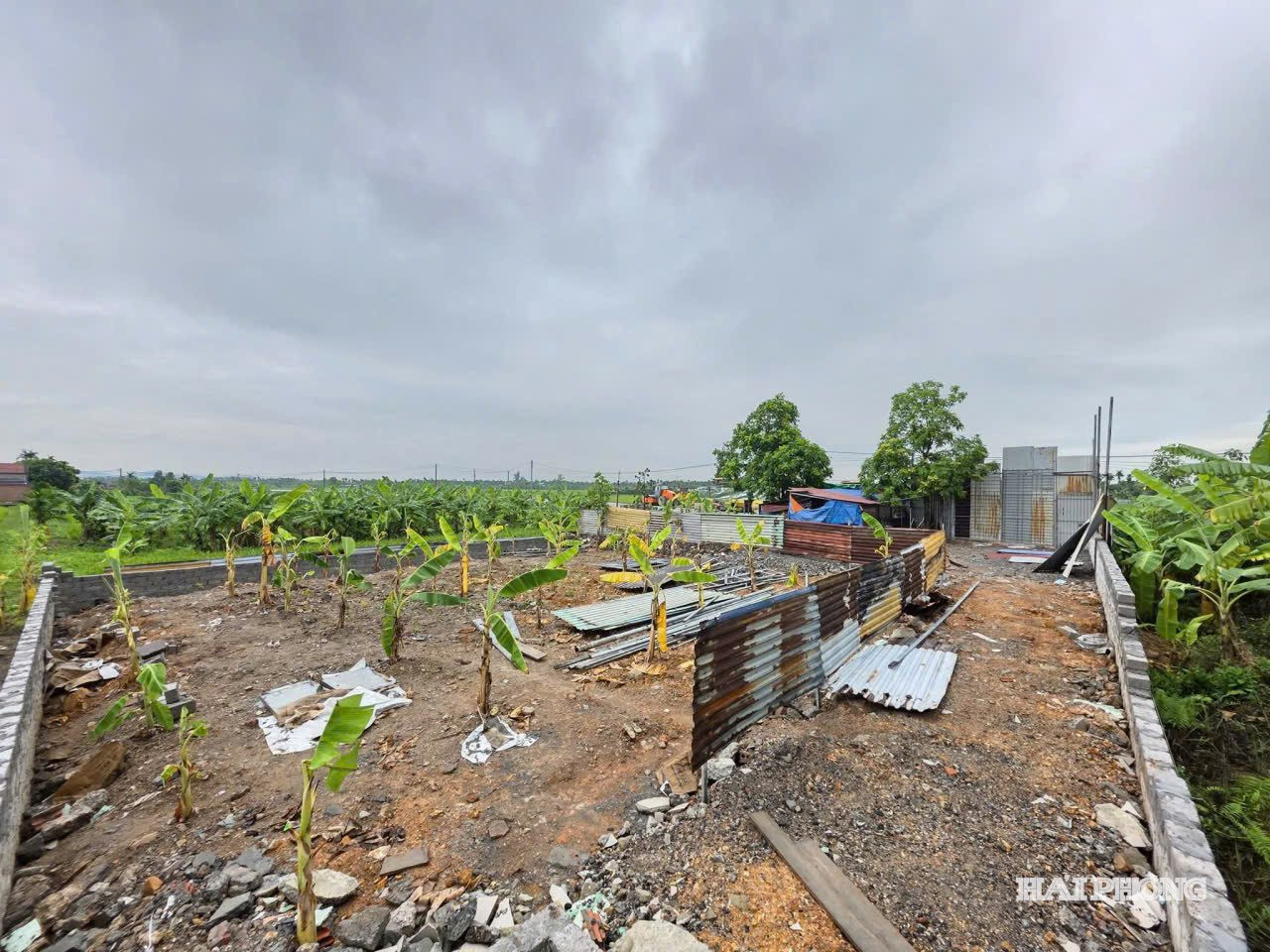 Hộ ông Đ.T.Đ. tự ý san lấp mặt bằng, dựng lán tôn trên đất trồng lúa, vi phạm quy định về đất đai.