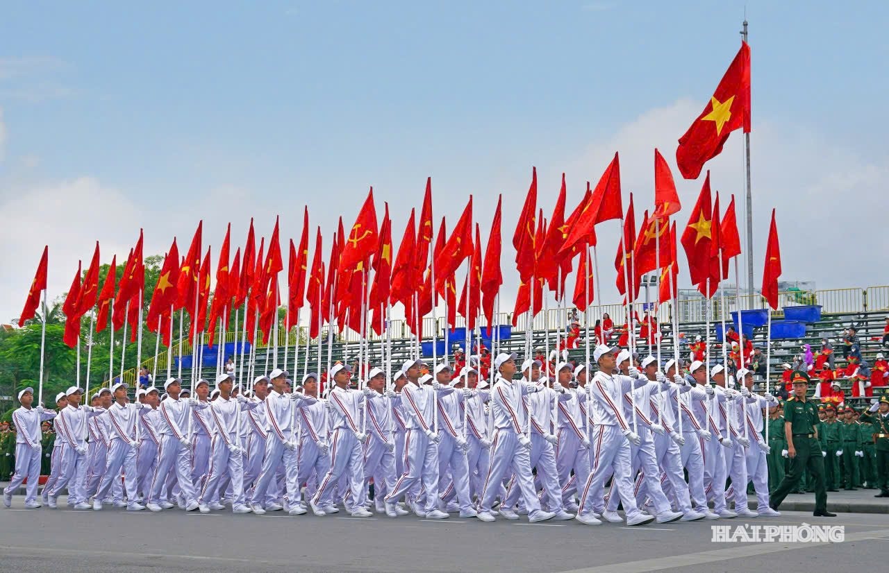 hoa-phuong-2.jpg