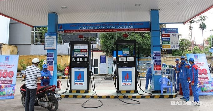 cay xang van cao