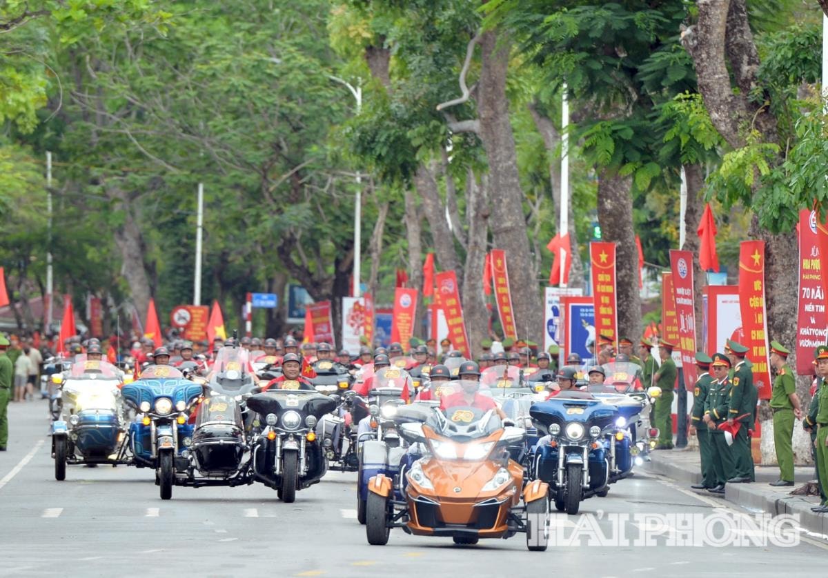 hoa-phuong-1.jpg