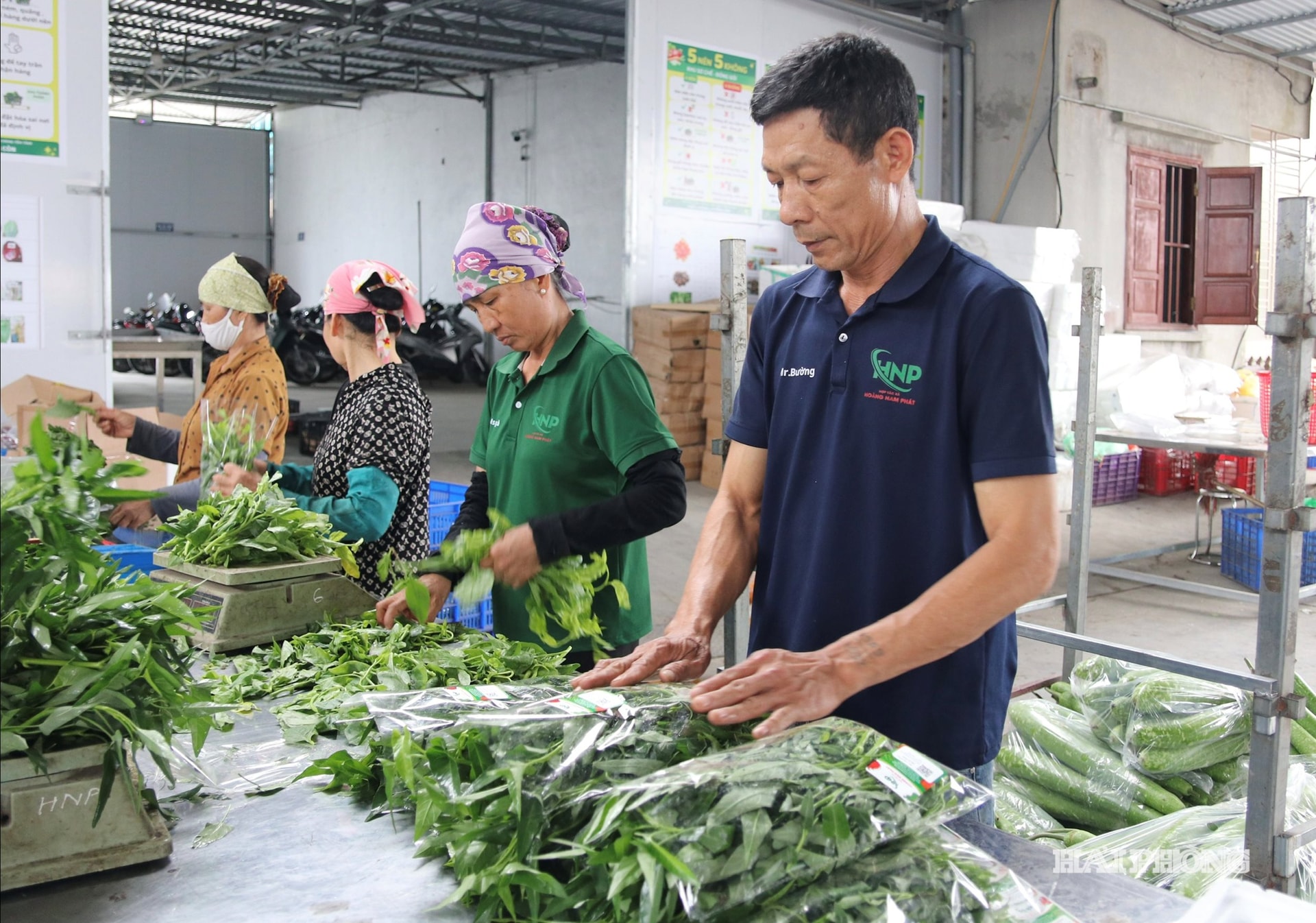 hoang-nam-phat.jpg