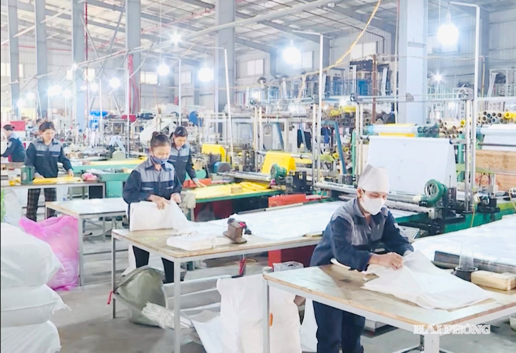 استارتاپ سبز.jpg