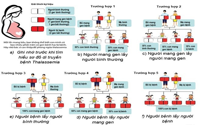Ngày Thalassemia Thế giới (8/5): Nhiều người mang gen bệnh mà không biết- Ảnh 2. Ngày Thalassemia Thế giới (8/5): Nhiều người mang gen bệnh mà không biết- Ảnh 2.