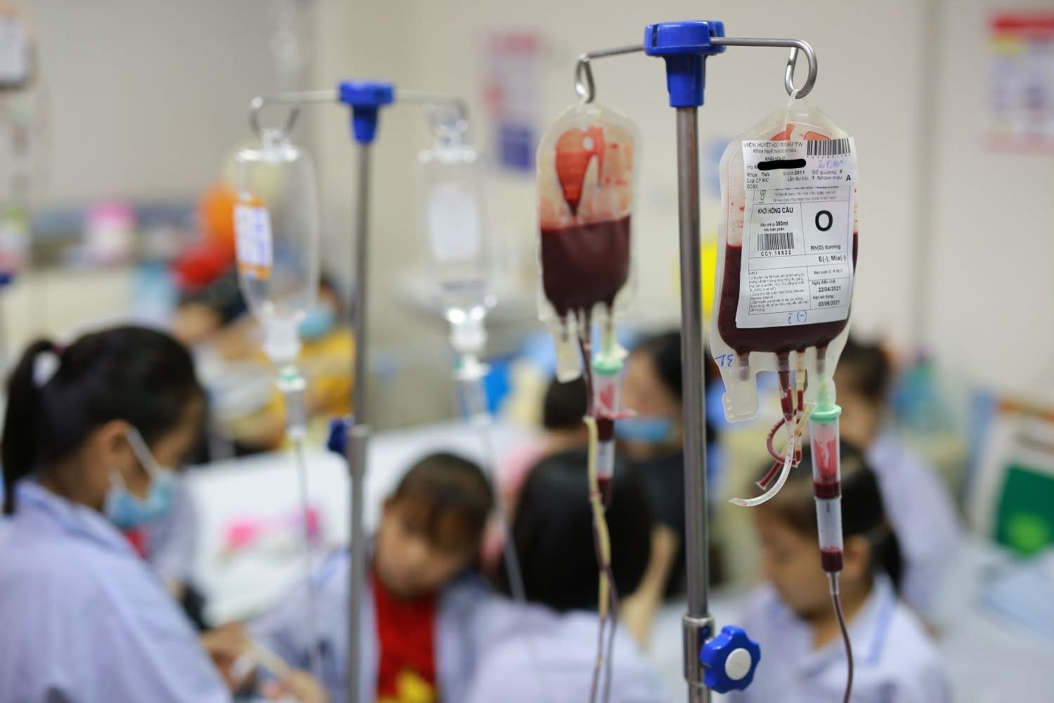 Ngày Thalassemia Thế giới (8/5): Nhiều người mang gen bệnh mà không biết- Ảnh 1. Ngày Thalassemia Thế giới (8/5): Nhiều người mang gen bệnh mà không biết- Ảnh 1.