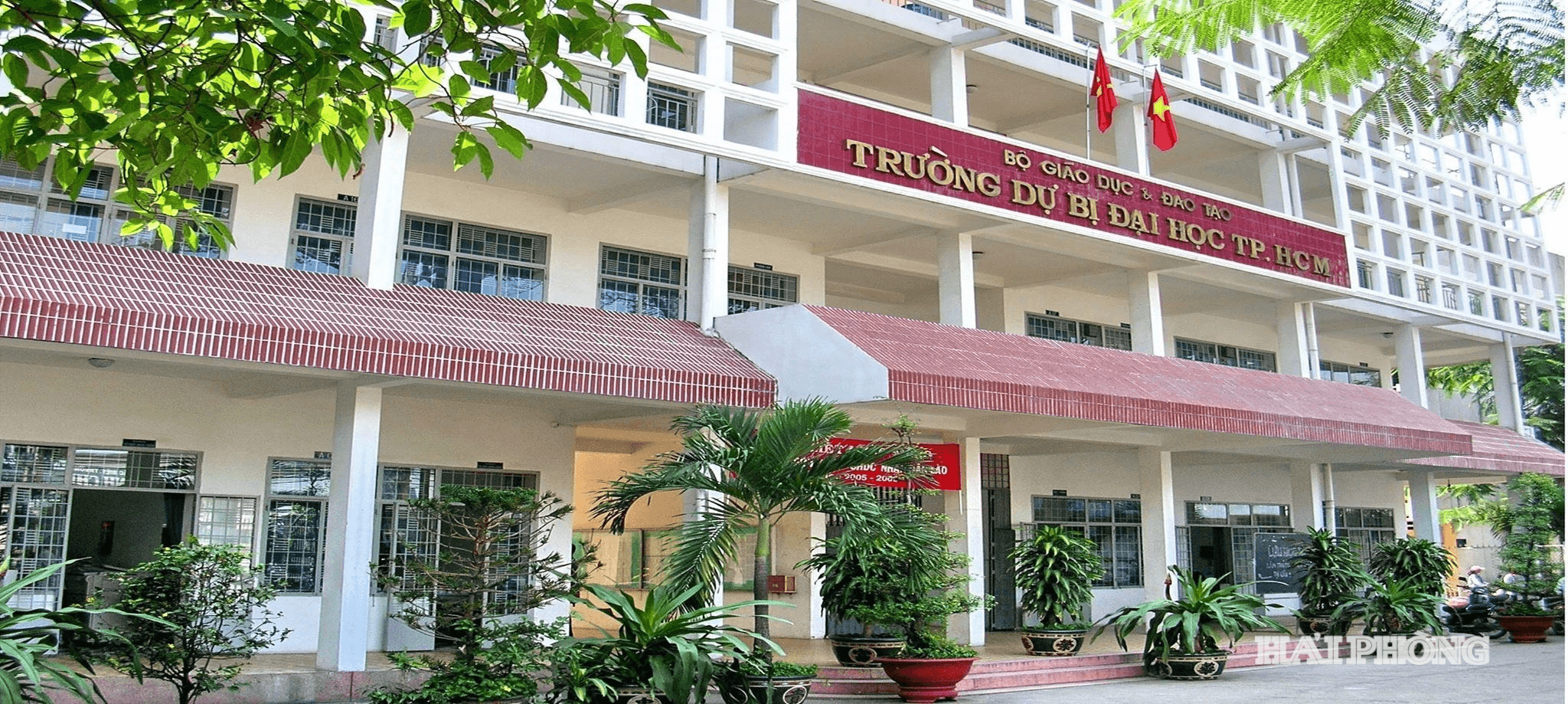 truong-du-bi-dai-hoc.png