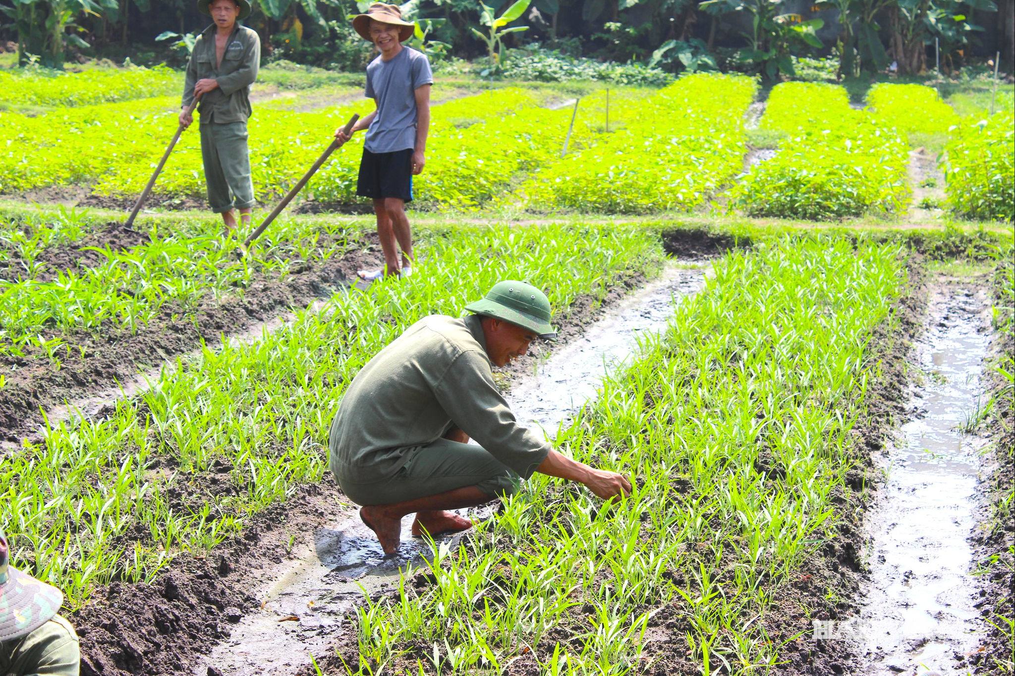 nguoi-tam-than8.jpg