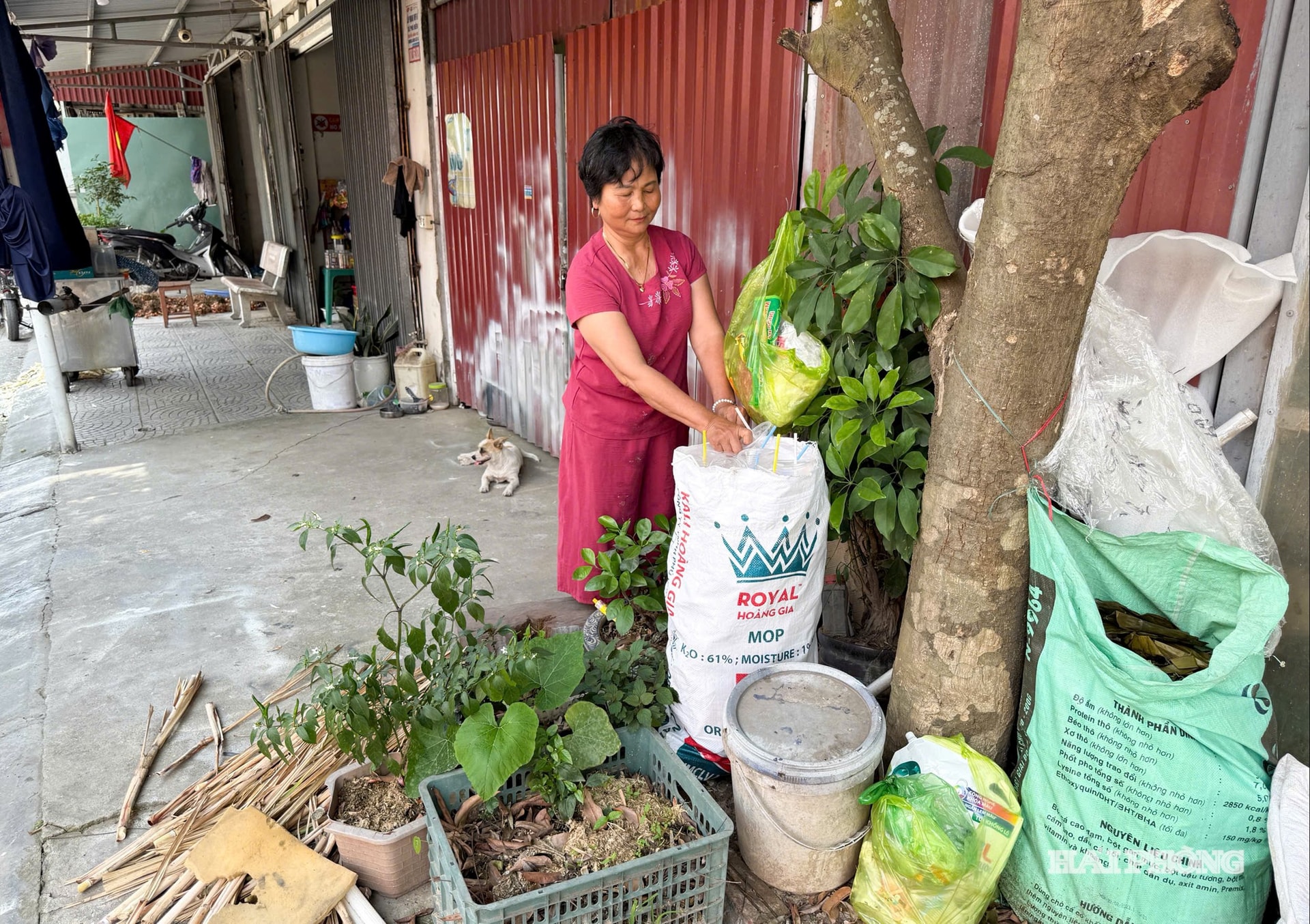 an-phu-bao-ve-moi-truong-xanh-3.jpg