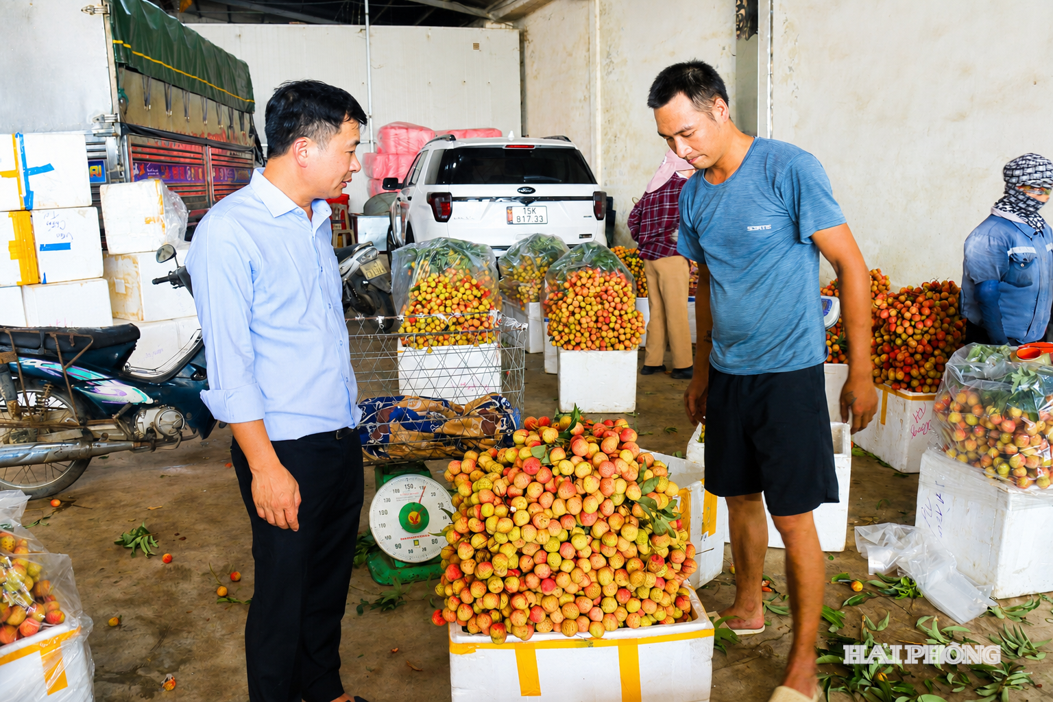 vai-ninh-giang.png