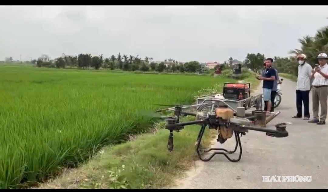 nghi duong 2