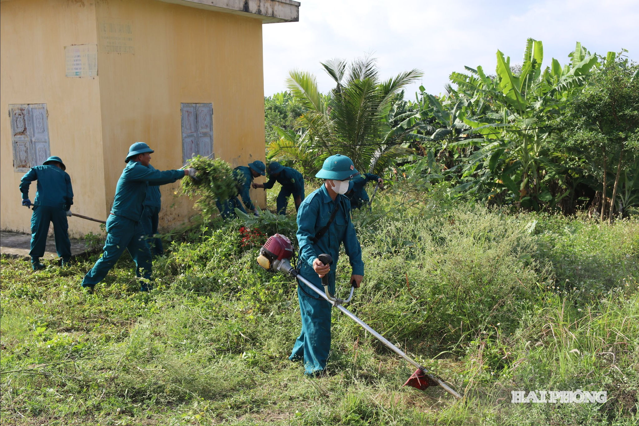 phat-quang-cay-co.jpg