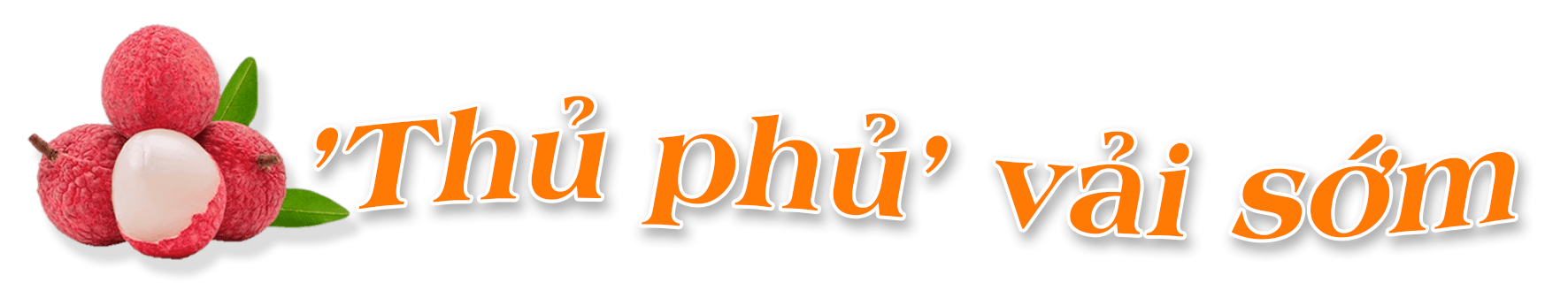 thu-phu-vai-som.png