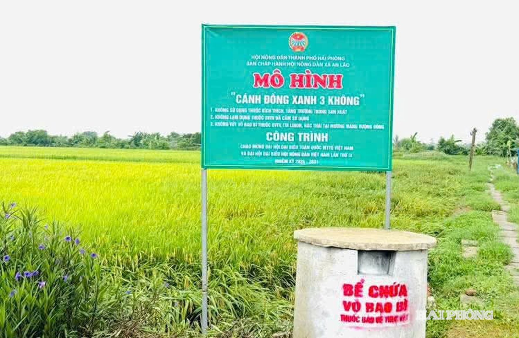 3 khong