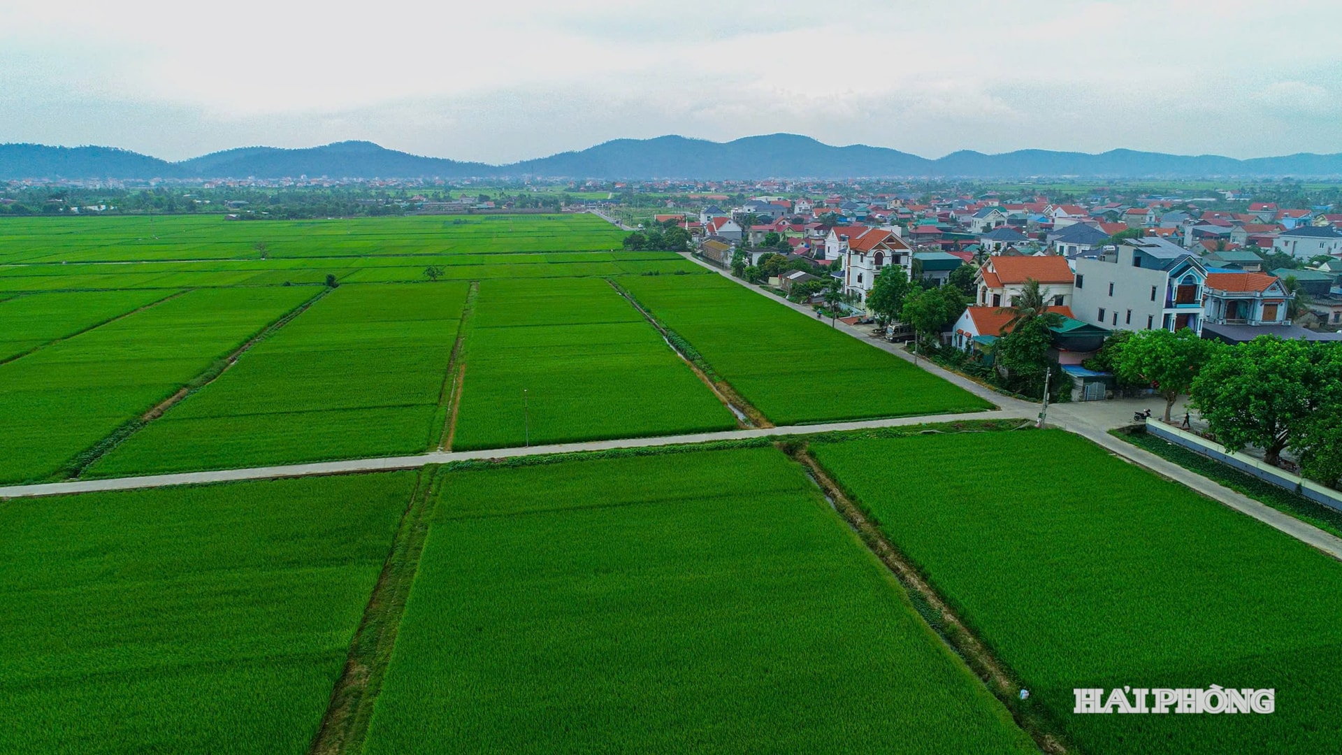 cum-cong-nghiep-thang-long.jpg