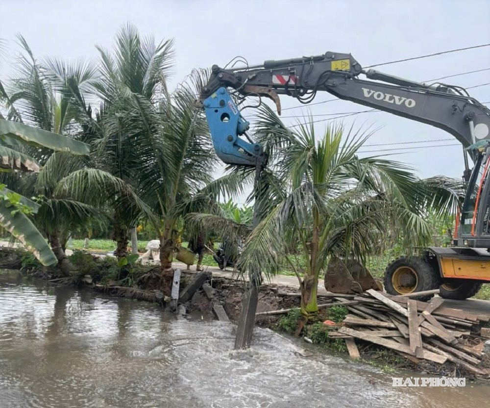 Lực lượng chức năng Công ty TNHH một thành viên khai thác công trình thủy lợi Tiên Lãng giải tỏa công trình vi phạm trên kênh 2+2 xã Chấn Hưng.